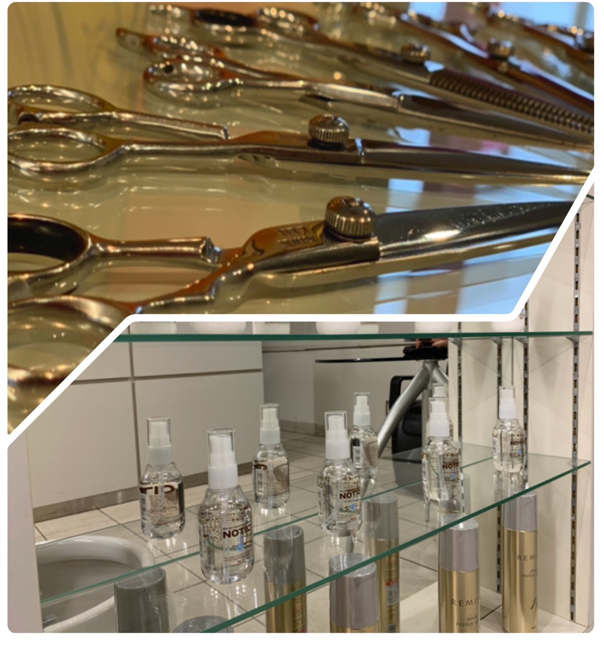 BRANCHE（ブランシェ）